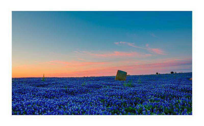 Sunrise Hay Bail in Field of Bluebonnets